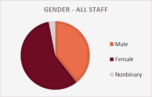 A pie chart showing the gender breakdown of GDI staff